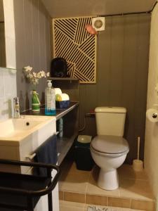 a bathroom with a toilet and a sink at gite du guip in Trégourez