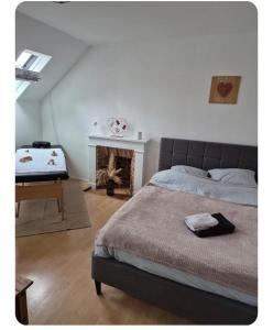 a bedroom with a large bed and a fireplace at Le petit duo in Saint-Brieuc