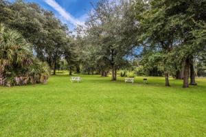 two picnic tables in a park with trees and grass at Quality Inn White Springs Suwanee in Live Oak