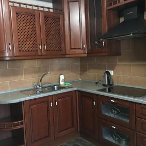 a kitchen with wooden cabinets and a sink at Alexandra Apartments in Kyiv
