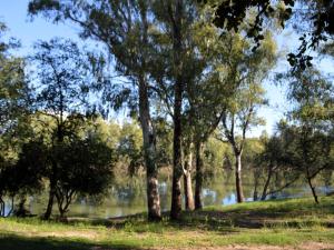 a group of trees in front of a body of water at Bloemhof Riverside Chalets in Bloemhof