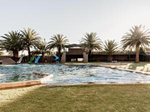 a large swimming pool with palm trees in the background at Victory Towers in Bloemhof