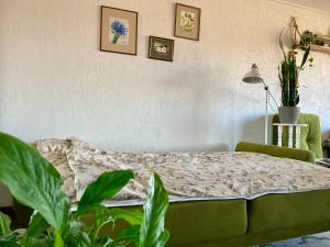 ein Bett in einem Zimmer mit Pflanzen und Bildern an der Wand in der Unterkunft OM West in Aizpute + 5 Fotos