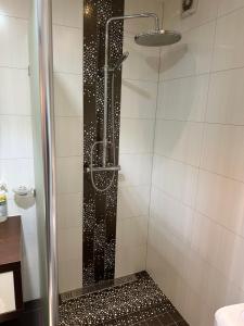 a shower with a black and white tiled bathroom at alisa in Srebrenik +14 photos