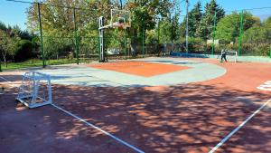 Ein Mann spielt Basketball auf einem Basketballplatz. in der Unterkunft Macedonium Luxury Villa with pool & panoramic view in Skopje