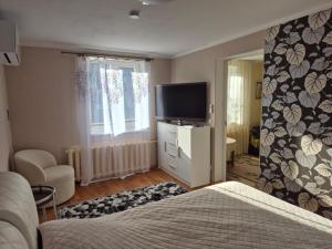 a bedroom with a bed and a flat screen tv at Mäe Apartment in Tartu