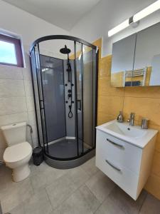 a bathroom with a shower and a toilet and a sink at Casa Novis in Băicoi +50 photos