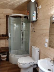 a bathroom with a shower and a toilet and a sink at Chata za Świerkami in Nowa Ruda