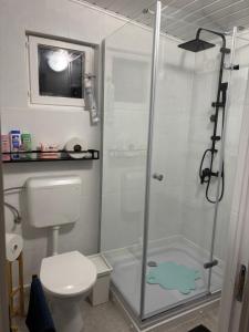 a bathroom with a glass shower with a toilet at Home for two in Igal