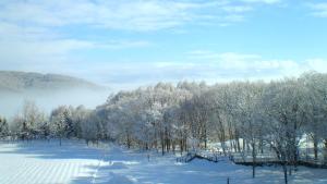 a snow covered field with trees in the background at Furano Hotel 富良野ホテル in Furano