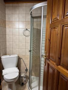 a bathroom with a toilet and a glass shower at Poarta 1 in Portaria