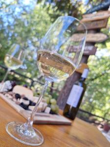 a glass of white wine sitting on a table at Villa Srna Apartments in Brazda