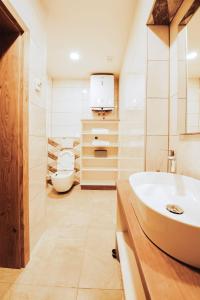 a bathroom with a sink and a toilet at Residence Legio XIII Gemina in Ptuj +23 photos