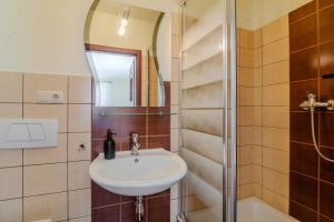 a bathroom with a sink and a shower at Willa Danielski in Niedzica