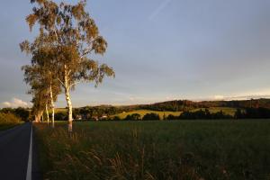 a road in a field with a tree and a field at Ferienhaus Großmann in Drognitz +2 photos