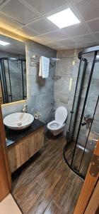 a bathroom with a toilet and a sink and a shower at Akyuz Kardesler Hotel & Bungalow in Uzungöl +90 photos