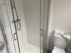 a bathroom with a shower with a toilet and a sink at O'Loughlin's Bar in Milltown Malbay