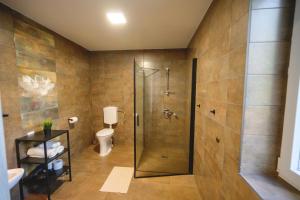 a bathroom with a shower and a toilet at Tótündér Vendégház in Levelek