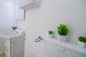 a bathroom with potted plants on a shelf at Elaia's House in Cannole in Cannole