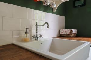 a white sink in a kitchen with a green wall at Bungalow de Mees in Schoonloo +29 photos