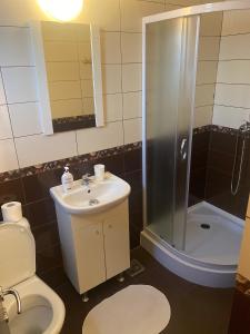 a bathroom with a shower and a sink and a toilet at Vila Lidia in Eforie Nord +25 photos