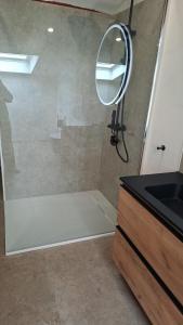 a bathroom with a shower with a mirror and a sink at appartement luna 1 in Dinant