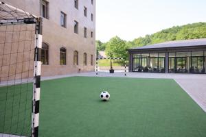 a soccer ball on a field in front of a building at Eighty Eight Deluxe Hotel & Spa in Tsaghkadzor +95 photos