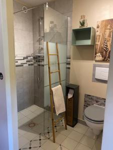 a bathroom with a shower and a toilet at Séverine chambres d’hôtes in Floing