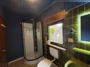 ein Badezimmer mit Dusche, Toilette und Fenster in der Unterkunft Altes Bierhaus Hotel Zimmervermietung in Arzbach + 57 Fotos
