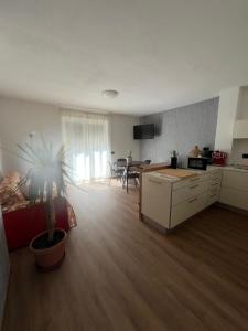 a kitchen and living room with a potted plant in a room at Ca' Bertera in Ledro