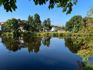 a view of a river with trees in the background at Lodge 51 - Caer Beris Park - No Tradesmen in Maesmynis