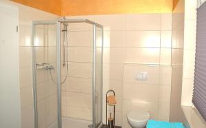 a shower stall in a bathroom with a toilet at Behagliches Ferienhaus Zaunkönig -mit Kamin und Sauna- Blick über das romantische Bodetal in Tanne +28 photos