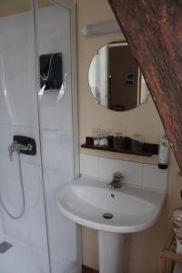 a bathroom with a sink and a mirror at La Table de Gabin in Saint-Léonard
