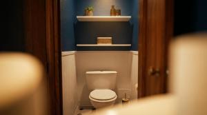 a bathroom with a white toilet in a blue room at Appartement Ubac - Chic & Douillet in Saint-Gaudens +3 photos