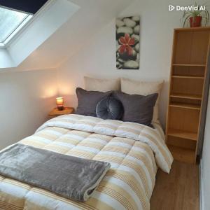 a bedroom with a large bed in a room at Spacieux T3 lumineux dans quartier historique avec wifi in Redon