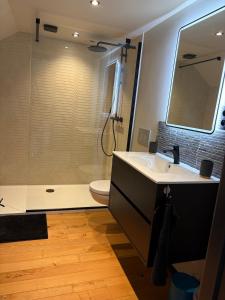 a bathroom with a shower and a sink and a toilet at La grange de Tom in Marche-en-Famenne +15 photos