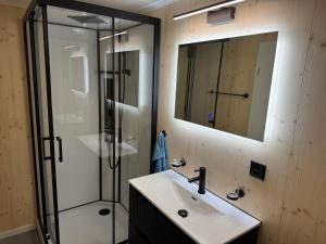 a bathroom with a sink and a glass shower at See und Berge Cozy in Faulensee +6 photos