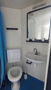 a small bathroom with a toilet and a sink at Chambre quadruple in Lully