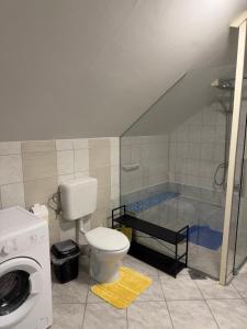 a bathroom with a shower and a toilet and a sink at APARTMAN i SOBA HADELA in Sveti Martin na Muri +19 photos