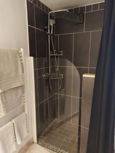 a shower with a glass door in a bathroom at Côté Terrasse in Apt