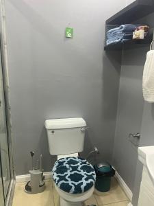 a bathroom with a toilet with a blue and white cover at Cozy Modern flat in Tunapuna +4 photos