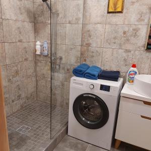 a washing machine in a bathroom with a shower at Berzlejas 3 in Upesgrīva +2 photos