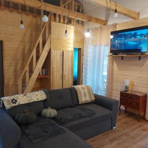 a living room with a couch and a tv at Berzlejas 3 in Upesgrīva