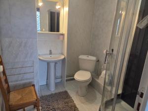 a bathroom with a toilet and a sink and a shower at Jardin Floral in Marquise