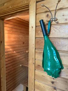 a green dress hanging on a wall in a sauna at Sarapuu puhkemaja in Hullo +31 photos