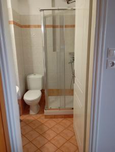 a bathroom with a toilet and a glass shower at Volos Seaside Studio in Volos