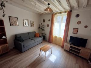 a living room with a couch and a tv at Le Petit Cocon d'Orléans in Orléans