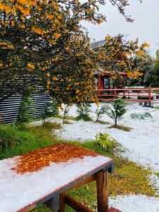 a bench sitting under a tree with snow on it at CABAÑA PARCELA VISTA HERMOSA in Puerto Aisén