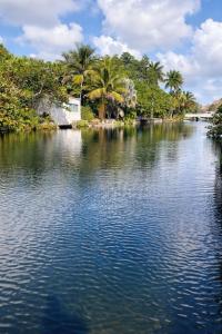 a body of water with palm trees in the background at Riio Shores in Miami