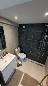 a bathroom with a toilet and a sink and a shower at Mazets sous le pin in Le Rouret +25 photos